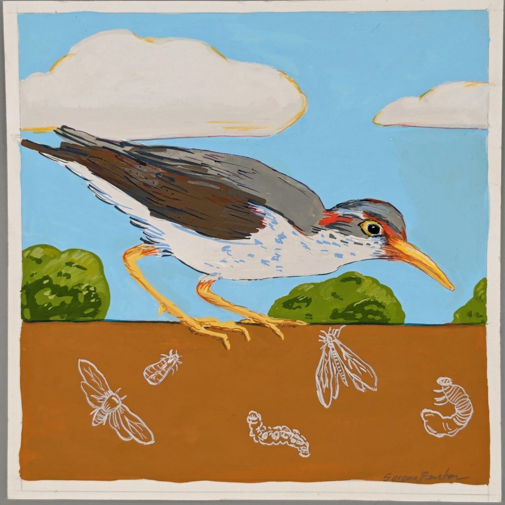 Gouache on paper 8" x 8"
© Serena Fenton