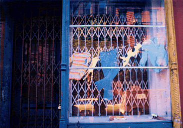 Storefront Installation East Village, NYC