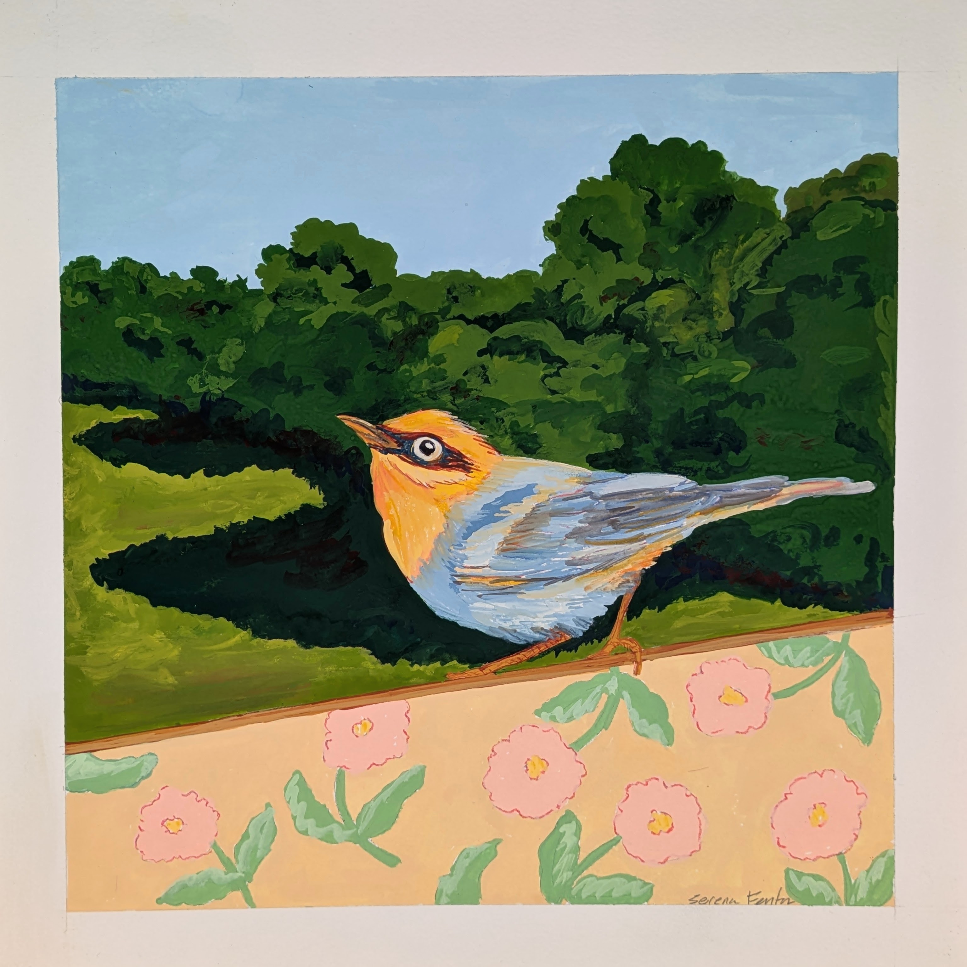 Bird Painting No. 38 Gouache on paper 12"x12" © Serena Fenton All Rights Reserved
