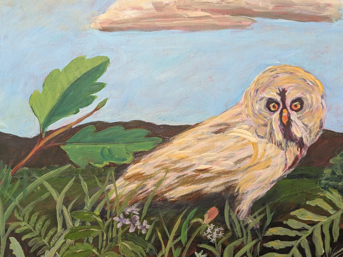 Bird Painting No.&nbsp;56